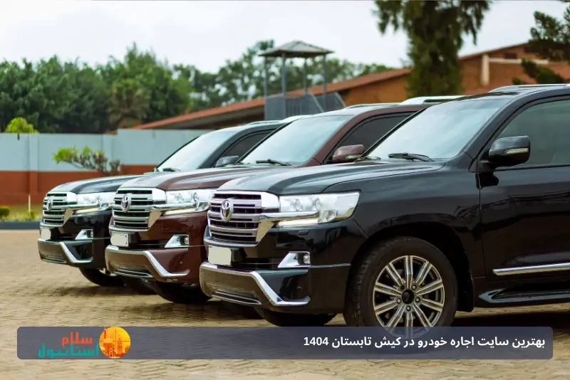 تنوع بالای خودروهای اجارهای